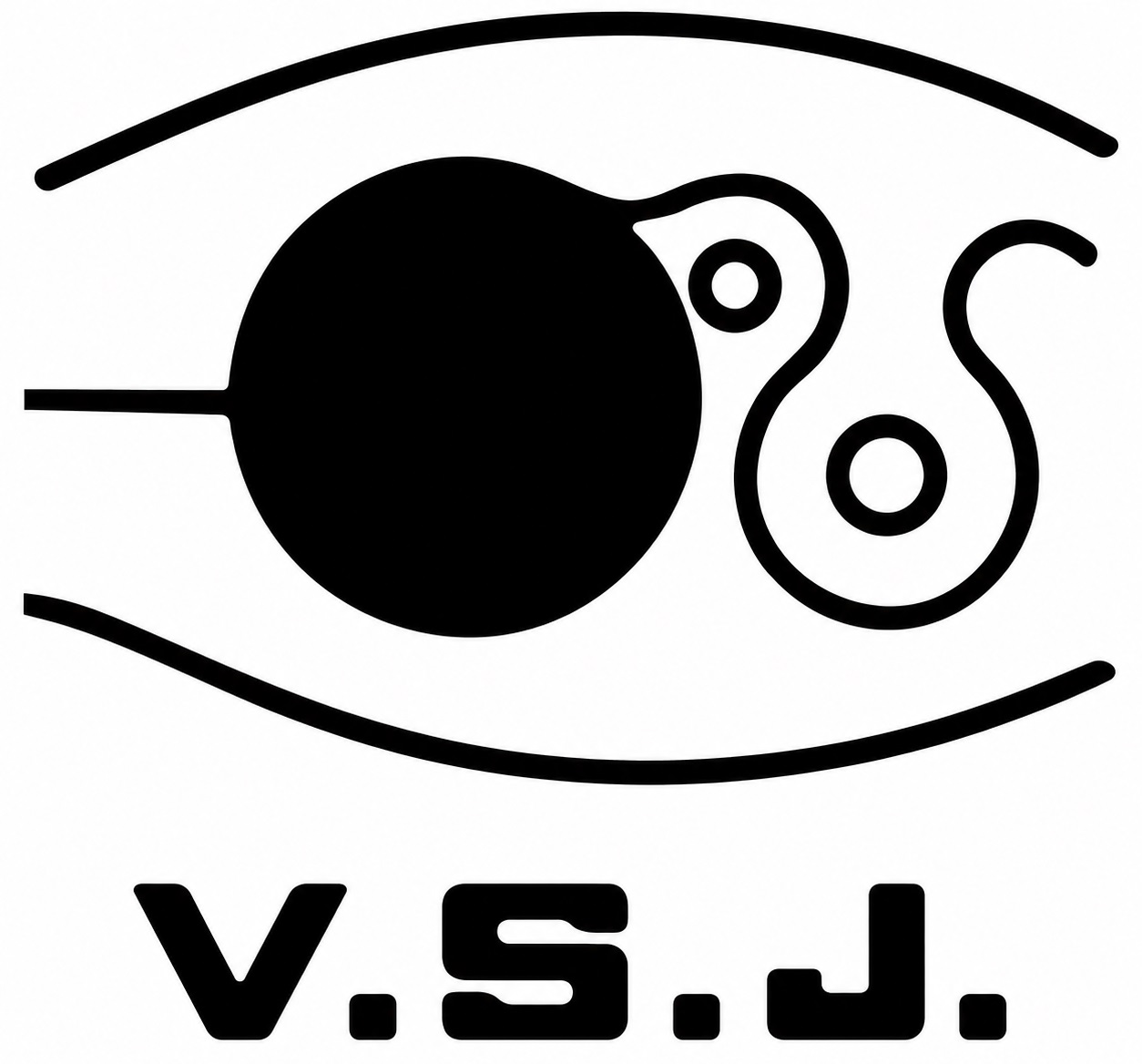 Visualization Society of Japan
